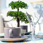 Apartment Rdi Elegance Downtown *